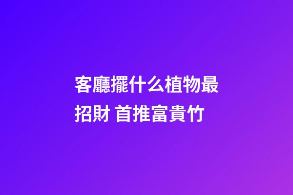 客廳擺什么植物最招財 首推富貴竹